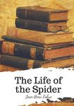 The Life of the Spider - 圖片 1