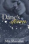 Dane's Storm - 圖片 1