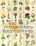 100 Vintage Botany Botanical Prints - 圖片 1