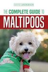 The Complete Guide to Maltipoos: Everything you need to know before getting your Maltipoo dog - 圖片 1