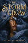 The Storm Crow - 圖片 1