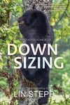 Downsizing - 圖片 1