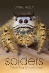 Spiders: Learning to Love Them - 圖片 1