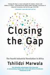 Closing the Gap: The Fourth Industrial Revolution in Africa - 圖片 1