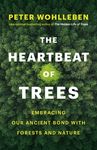 The Heartbeat of Trees: Embracing Our Ancient Bond with Forests and Nature - 圖片 1
