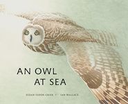 An Owl at Sea - 圖片 1