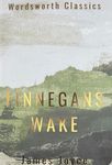 Finnegans Wake - 圖片 1