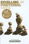 Excelling at Positional Chess - 圖片 1