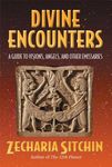 Divine Encounters: A Guide to Visions, Angels, and Other Emissaries - 圖片 1