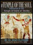 Temple of the Soul Initiation Philosophy in the Temple of Osiris at Abydos: Decoded Temple Mysteries Translations of Temple Inscriptions and Walking P - 圖片 1
