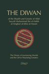 The Diwan: of Shaykh Muhammad ibn al-Habib - 圖片 1