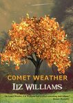 Comet Weather - 圖片 1