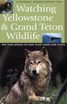 Watching Yellowstone & Grand Teton Wildlife - 圖片 1