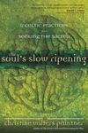 The Soul's Slow Ripening: 12 Celtic Practices for Seeking the Sacred - 圖片 1