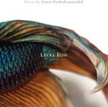 Lucky Fish - 圖片 1