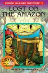 Lost on the Amazon - 圖片 1