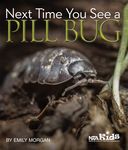 Next Time You See a Pill Bug - 圖片 1