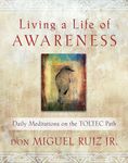 Living a Life of Awareness: Daily Meditations on the Toltec Path - 圖片 1