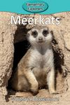 Meerkats - 圖片 1