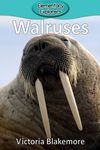 Walruses - 圖片 1