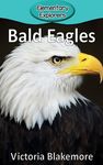 Bald Eagles - 圖片 1