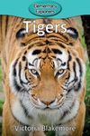 Tigers - 圖片 1