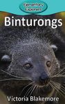 Binturongs - 圖片 1