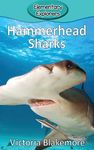 Hammerhead Sharks - 圖片 1