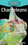 Chameleons - 圖片 1