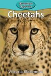 Cheetahs - 圖片 1