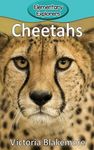 Cheetahs - 圖片 1
