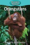 Orangutans - 圖片 1