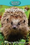 Hedgehogs - 圖片 1