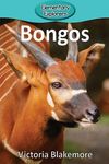 Bongos - 圖片 1