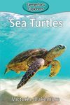 Sea Turtles - 圖片 1