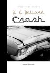 Crash - 圖片 1