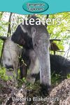 Anteaters - 圖片 1