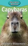 Capybaras - 圖片 1