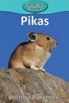 Pikas - 圖片 1