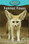 Fennec Foxes - 圖片 1