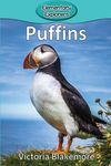 Puffins - 圖片 1