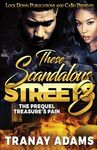 These Scandalous Streets 3: The Prequel. Treasure's Pain - 圖片 1