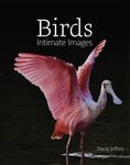 Birds: Intimate Images - 圖片 1