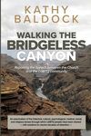 Walking the Bridgeless Canyon: Repairing the Breach between the Church and the LGBTQ Community - 圖片 1