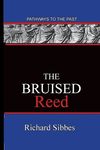 The Bruised Reed: Pathways To The Past - 圖片 1