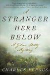 A Stranger Here Below: A Gideon Stoltz Mystery - 圖片 1