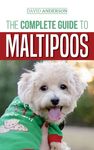 The Complete Guide to Maltipoos: Everything you need to know before getting your Maltipoo dog - 圖片 1