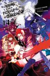 Is It Wrong to Try to Pick Up Girls in a Dungeon?, Vol. 14 (Light Novel) - 圖片 1