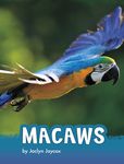 Macaws - 圖片 1