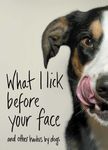 What I Lick Before Your Face: And Other Haikus by Dogs - 圖片 1